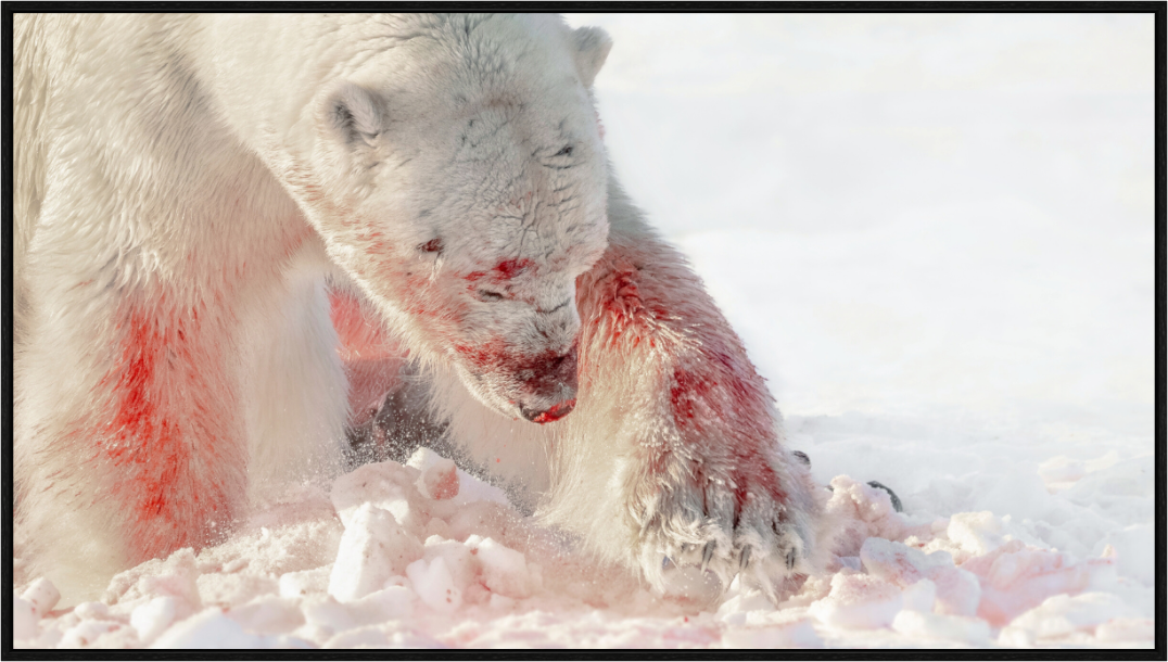 Main image Masterprint 1