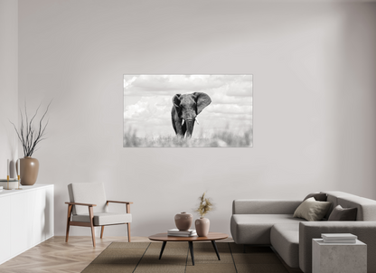 176 x 99 cm, Fine Art Print Under Acrylic - Slimline Aluminium Black Frame Savannah Skies