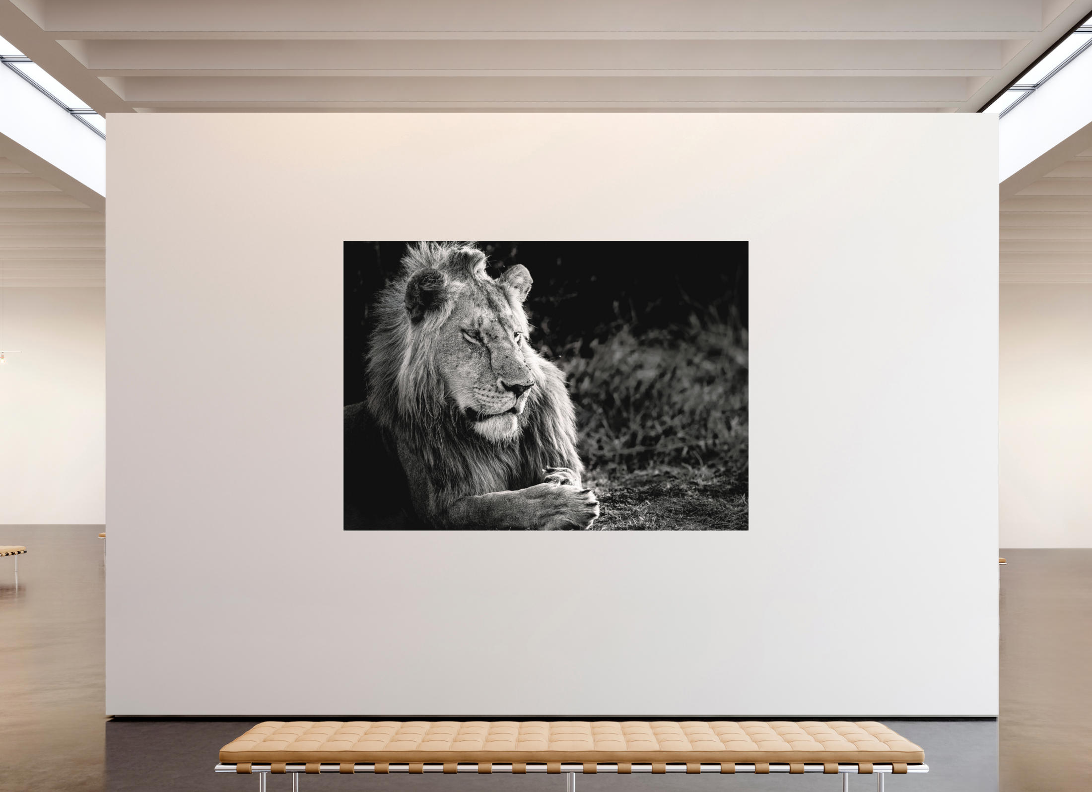 238 x 170 cm, Fine Art Print Under Acrylic - Slimline Aluminium White Frame Quiet Dominion