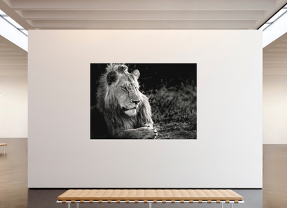 238 x 170 cm, Fine Art Print Under Acrylic - Slimline Aluminium White Frame Quiet Dominion