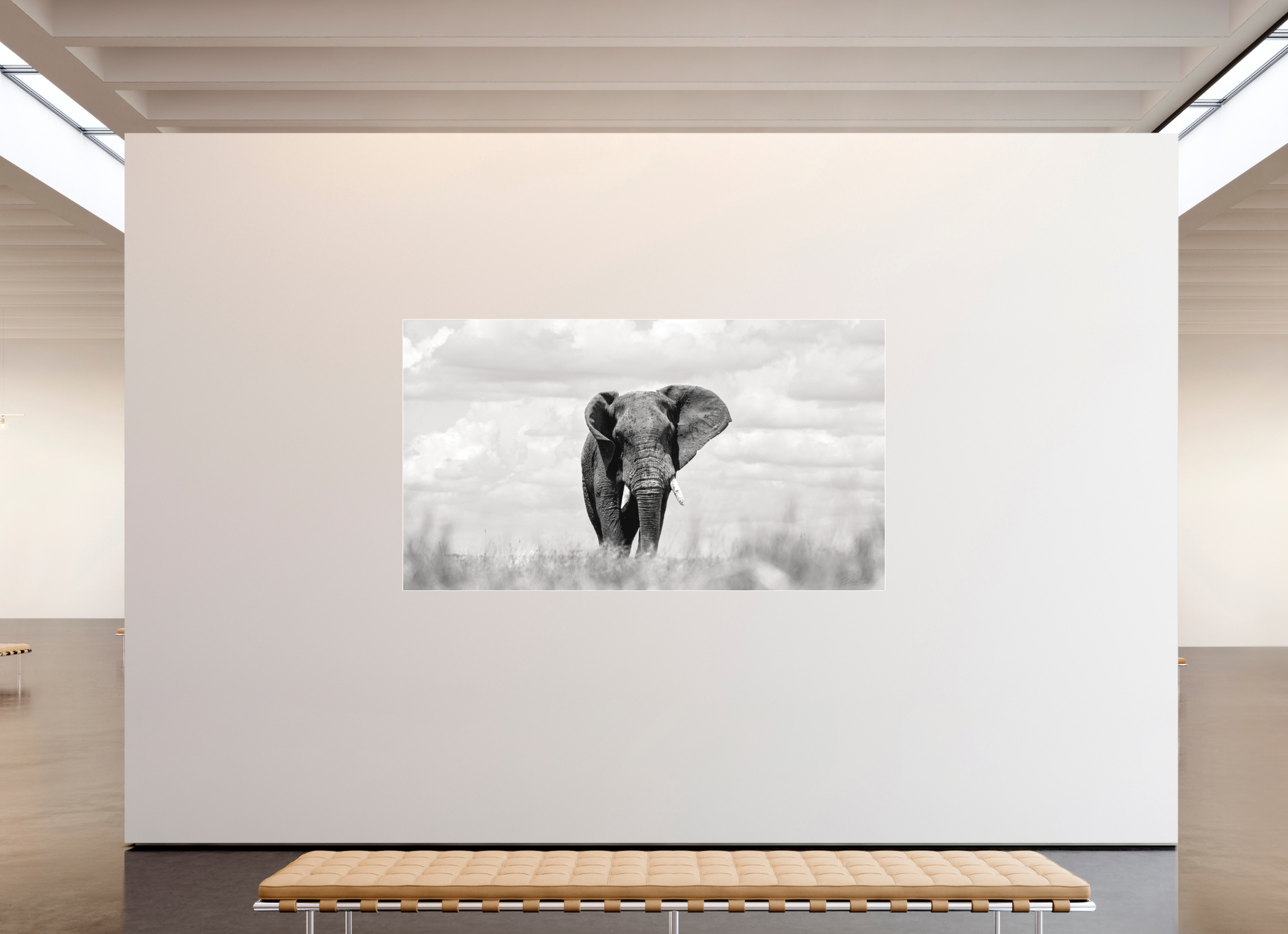 240 x 135 cm, Fine Art Print Under Acrylic - Slimline Aluminium White Frame Savannah Skies