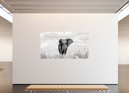 240 x 135 cm, Fine Art Print Under Acrylic - Slimline Aluminium White Frame Savannah Skies