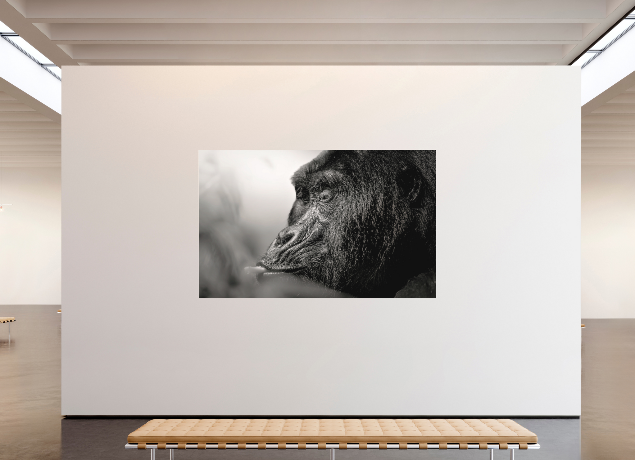 240 x 150 cm, Fine Art Print Under Acrylic - No Frame Navel-gazer