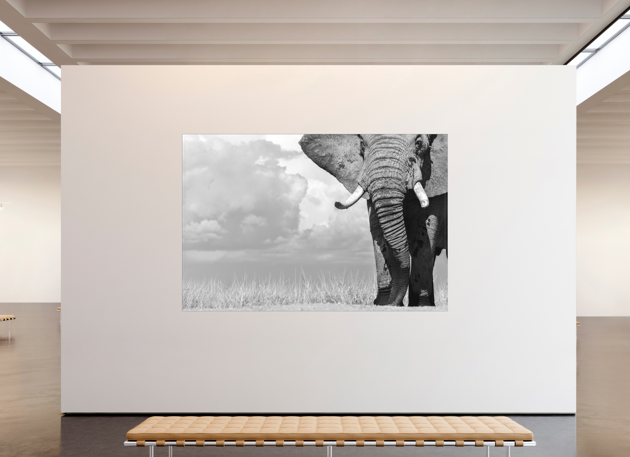 270 x 180 cm, Fine Art Print Under Acrylic - Slimline Black Frame Dominance