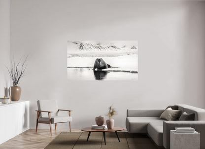 176 x 99 cm, Fine Art Print Under Acrylic - No Frame Tusks on ice