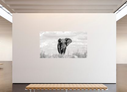 240 x 135 cm, Fine Art Print Under Acrylic - No Frame Savannah Skies