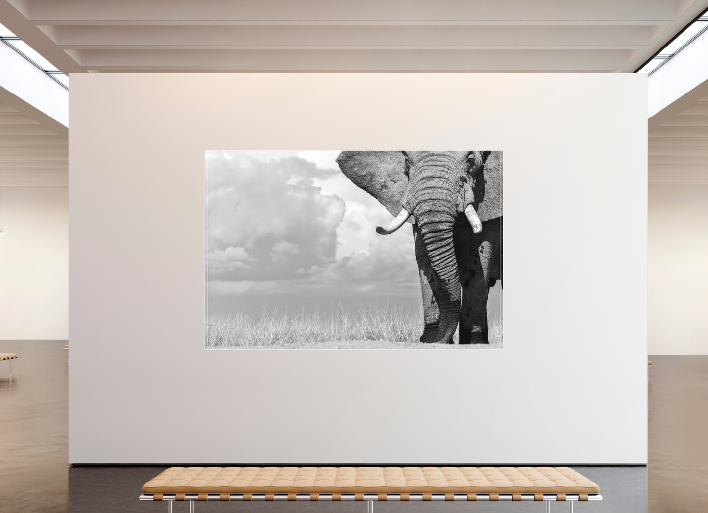 270 x 180 cm, Fine Art Print Under Acrylic - Slimline White Frame Dominance