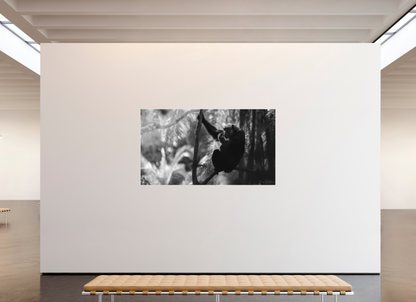 208 x 117 cm, Fine Art Print Under Acrylic - Slimline Aluminium White Frame The Jungle Philosopher