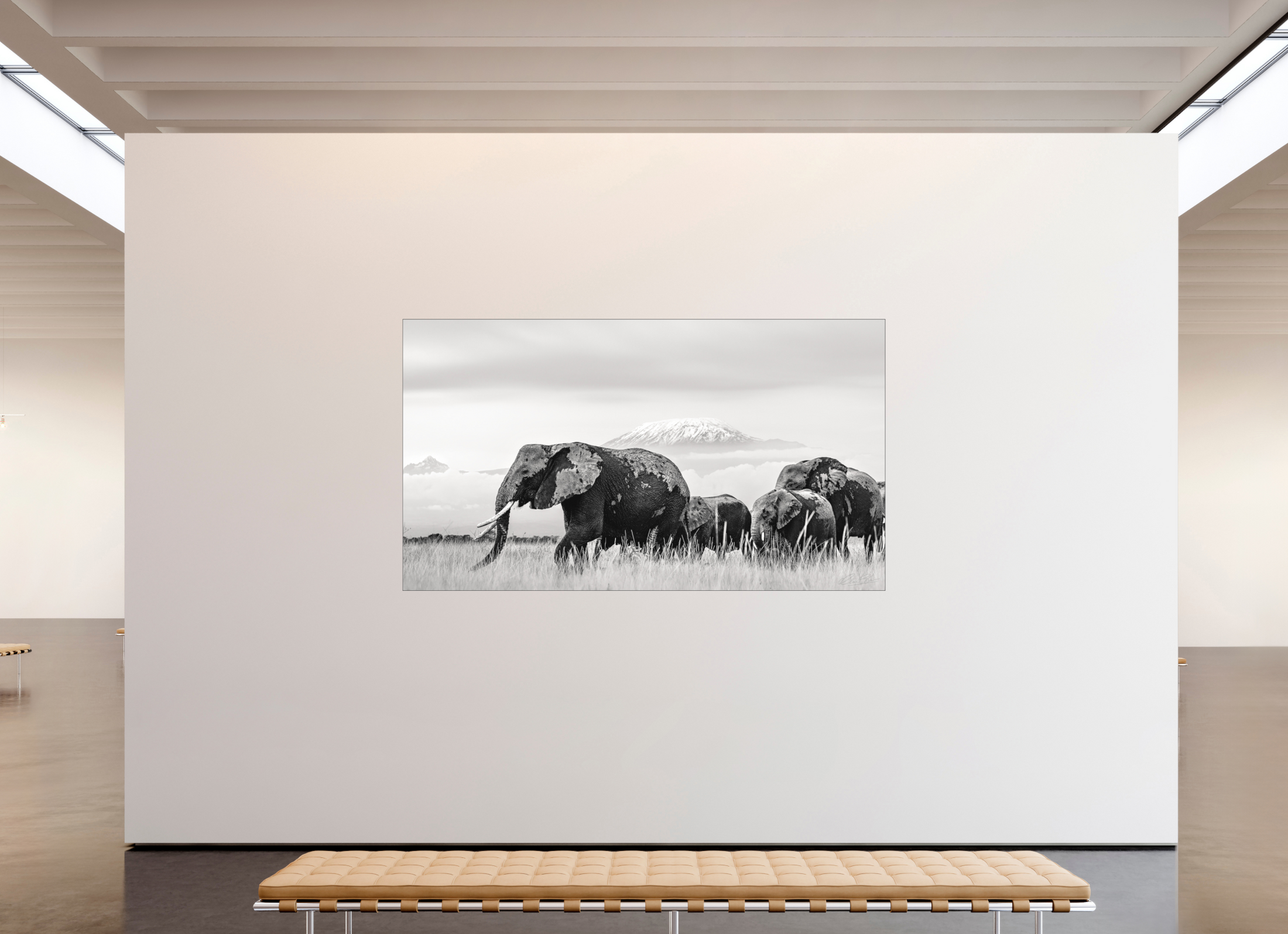 240 x 135 cm, Fine Art Print Under Acrylic - Slimline Aluminium Black Frame Giants