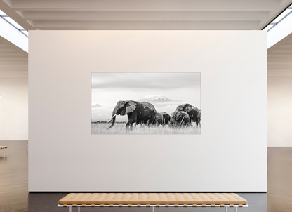 240 x 135 cm, Fine Art Print Under Acrylic - Slimline Aluminium Black Frame Giants