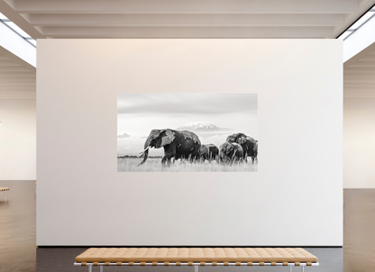240 x 135 cm, Fine Art Print Under Acrylic - No Frame Giants