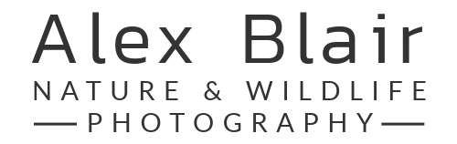 alexblairphotography